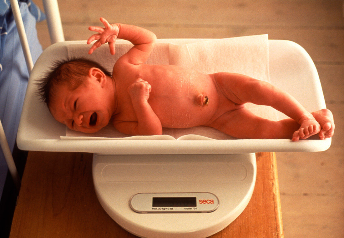 Newborn baby girl being weighed on scales