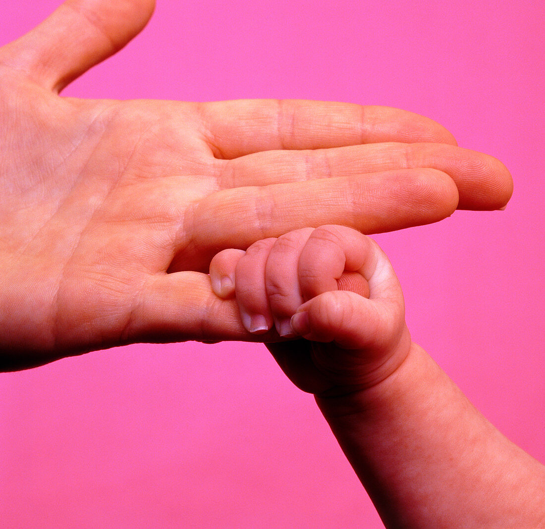 Newborn baby reflex to cling on with hand