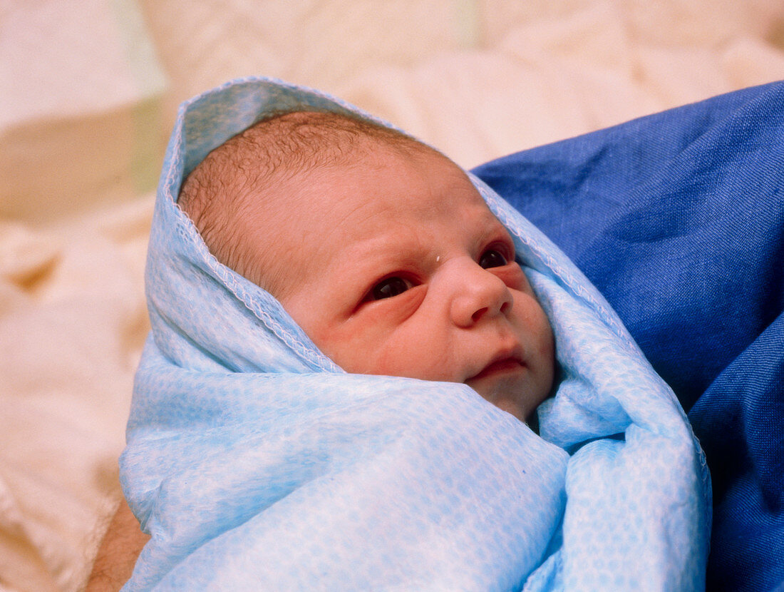 Face of a healthy newborn baby boy