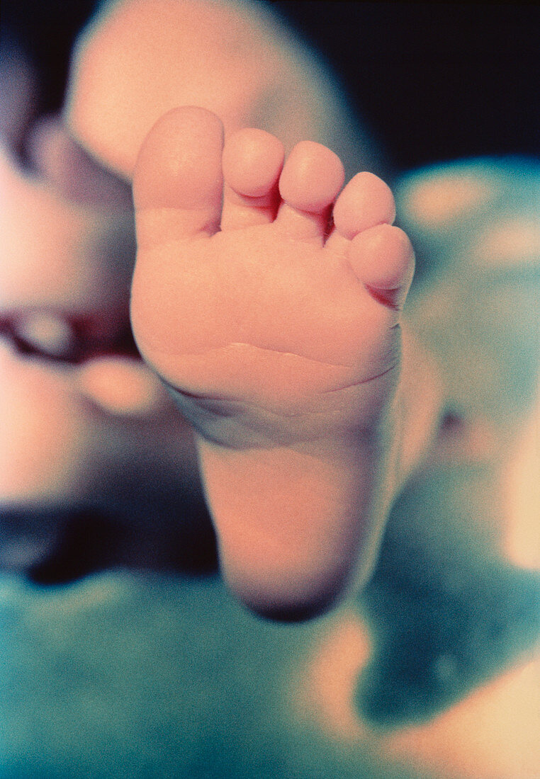 Baby's foot