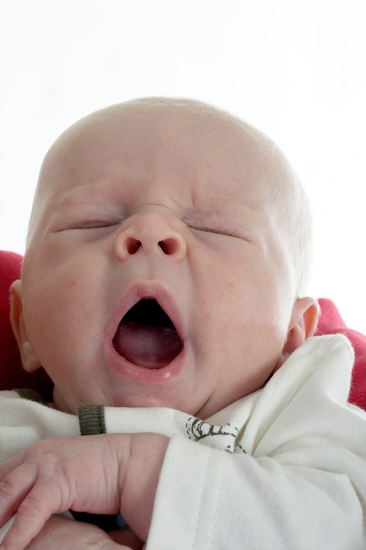 Baby boy yawning