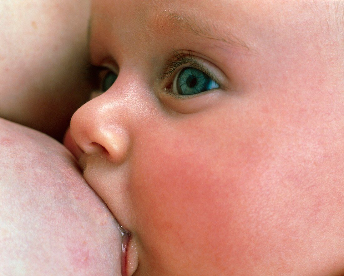 Close-up of a baby feeding at her mother's breast