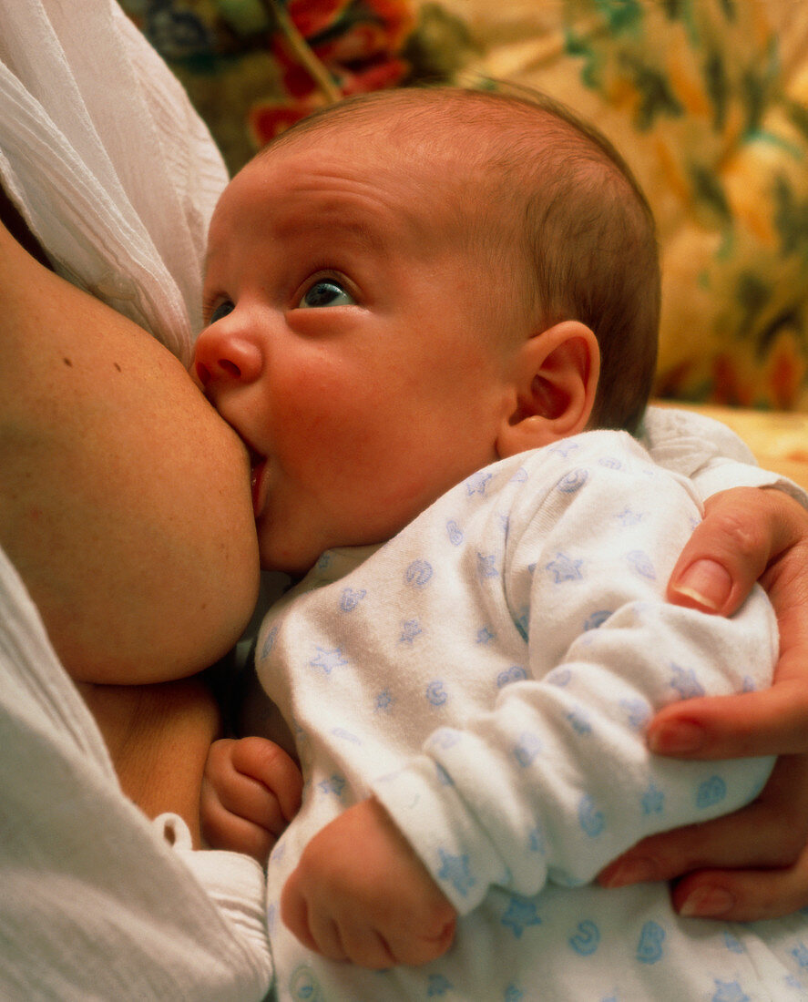 Mother breast-feeding her 3 month old baby boy