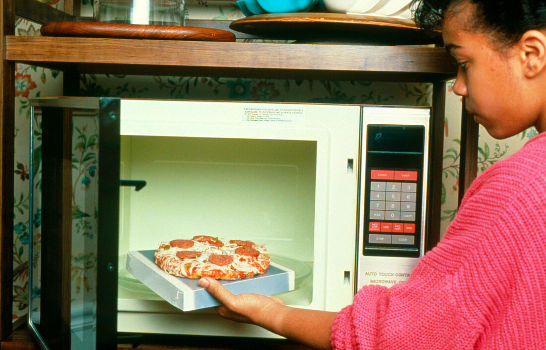 Child danger: girl places food in microwave oven