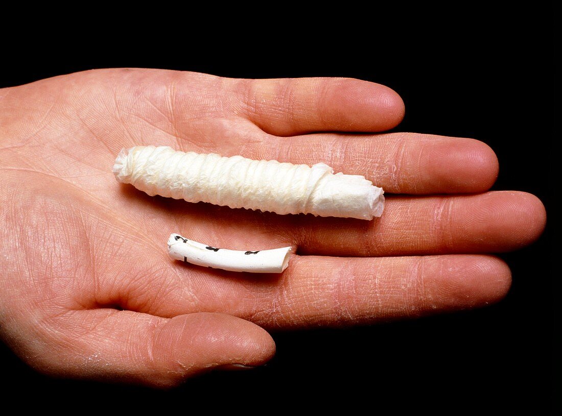 Artificial bone seen with a piece of rabbit bone