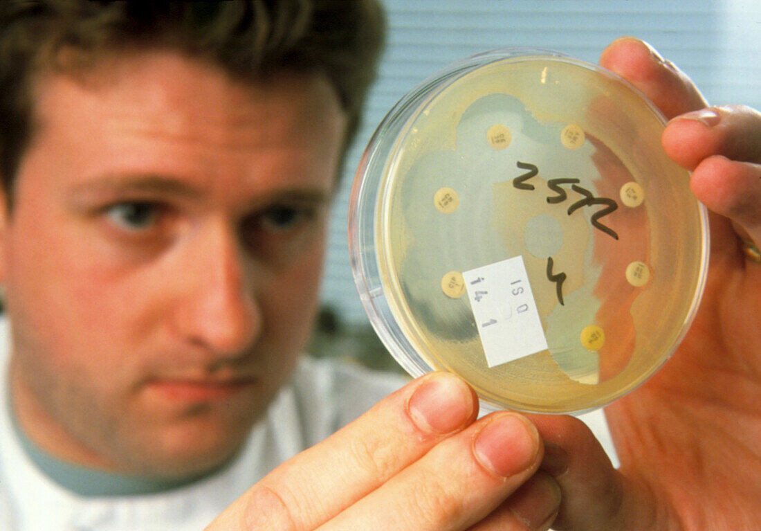 Technician & bacterial antibiotic sensitivity test