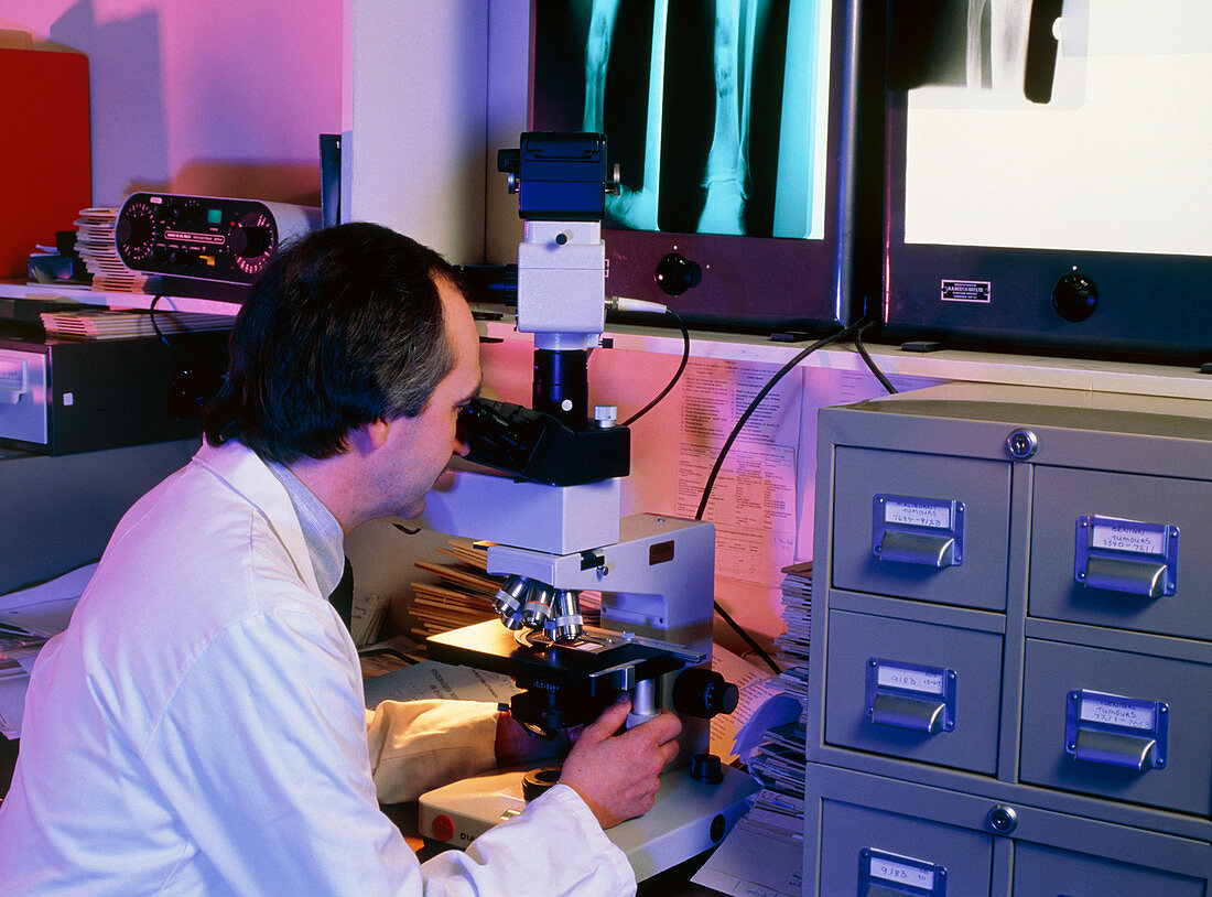 Pathologist using LM to examine bone biopsy slide