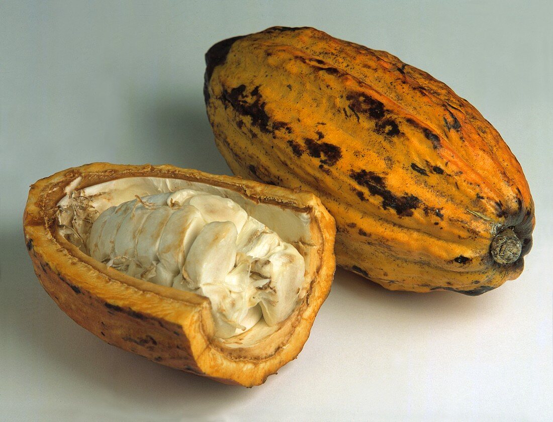 Whole ripe cacao fruit and opened fruit with fruit pulp