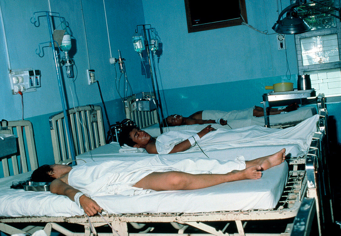 Malaria ward in Vietnamese hospital