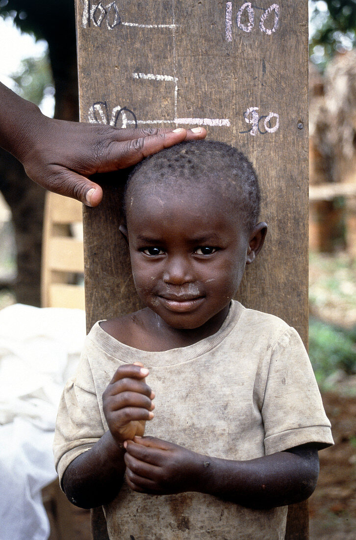 Health worker measuring the height of a young boy