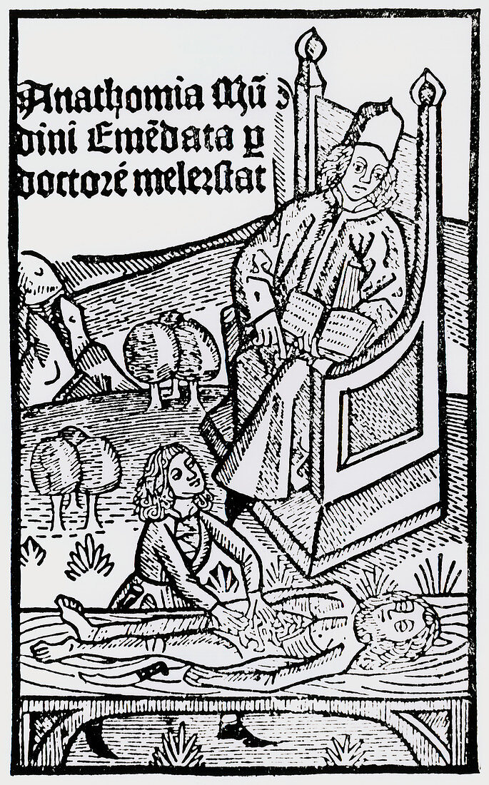 14th C. woodcut showing student at dissection