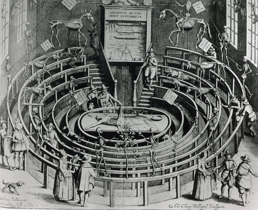 17th century artwork of a medical lecture theatre