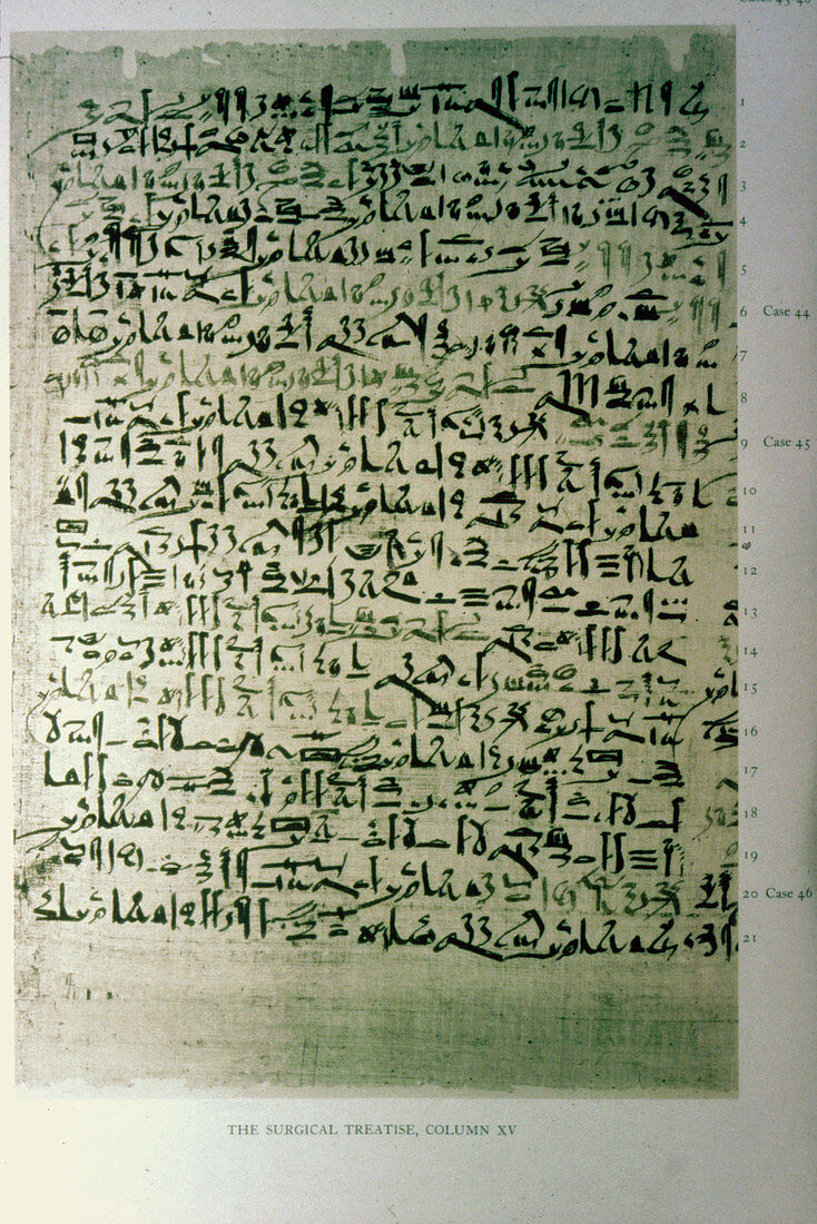The Erb's papyrus