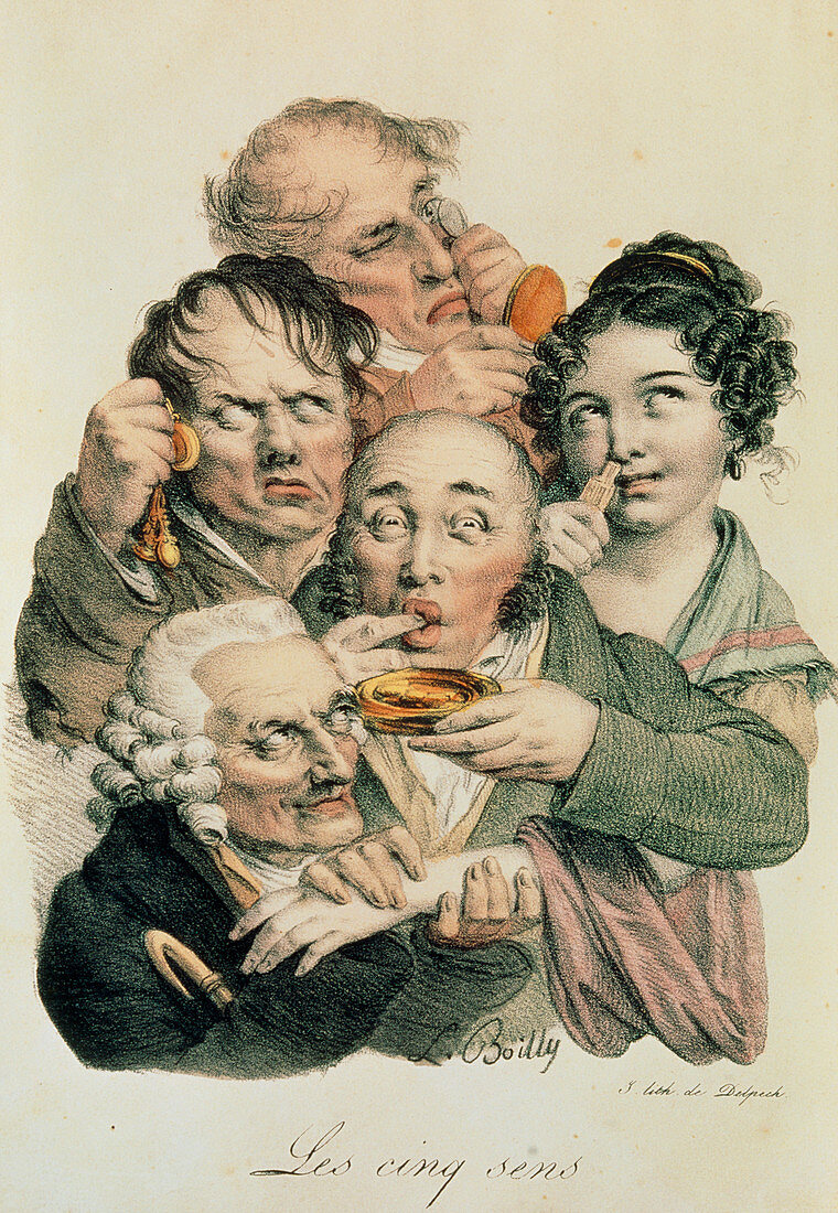 Caricature of the five senses
