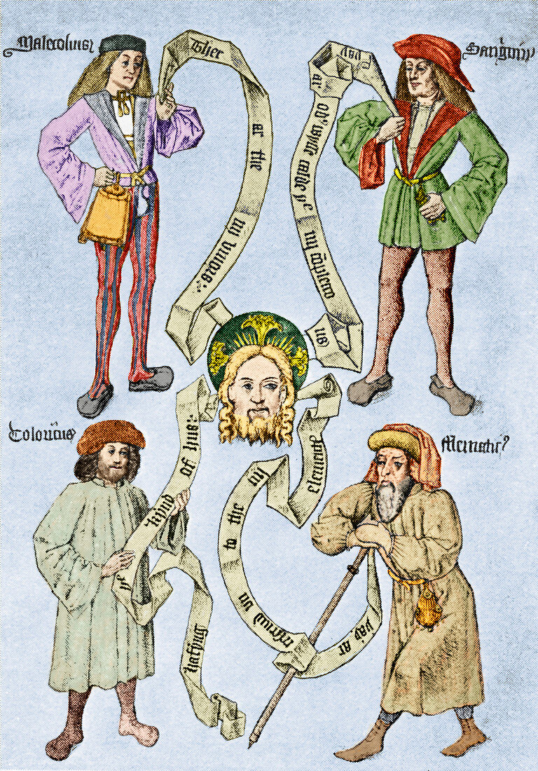 The four humours,16th century artwork