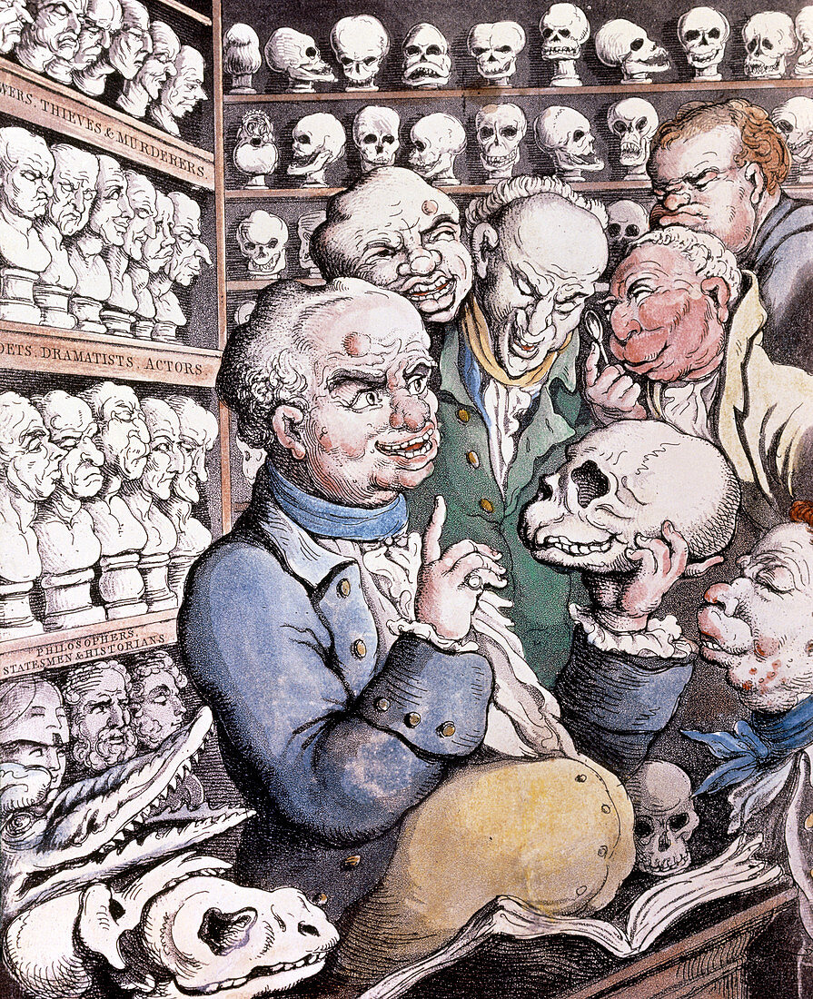 Caricature of Franz Gall,inventor of phrenology