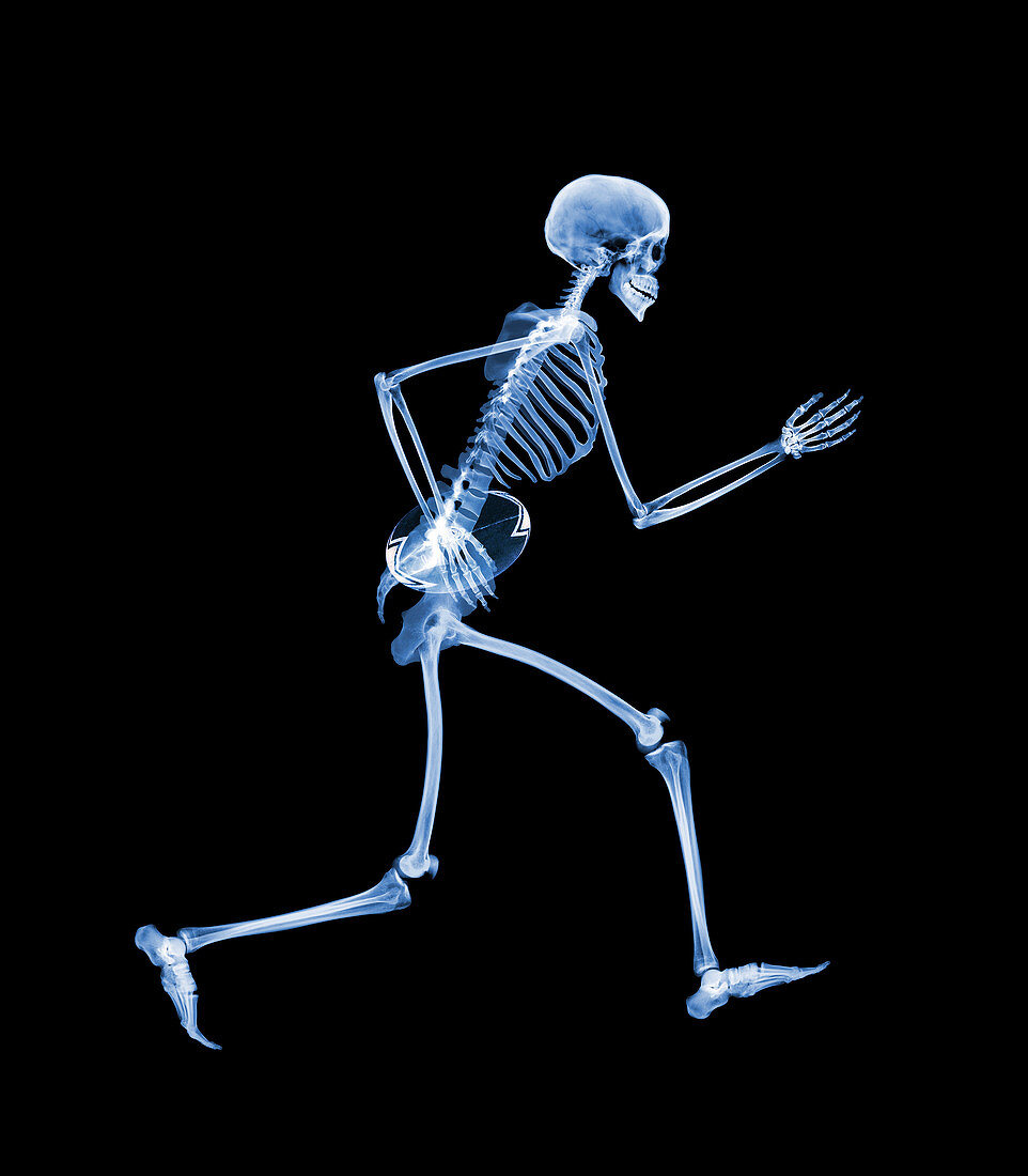 Skeleton playing rugby