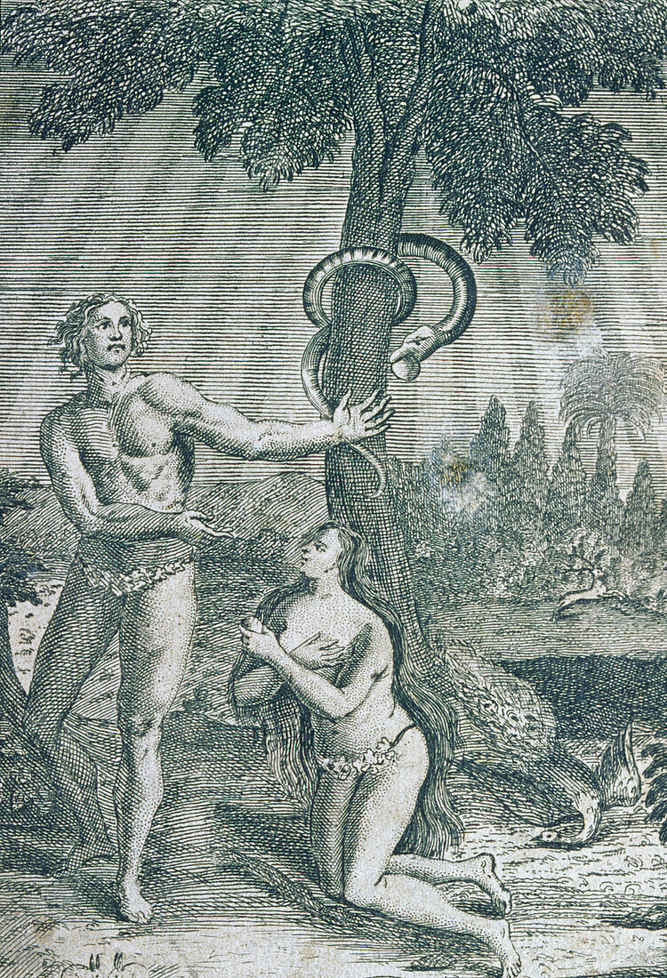 Engraving of Adam and Eve in the Garden of Eden