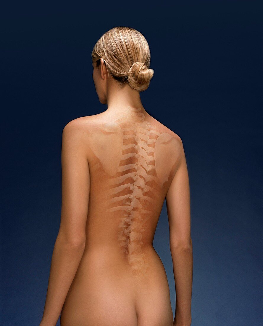 Woman's back,composite image