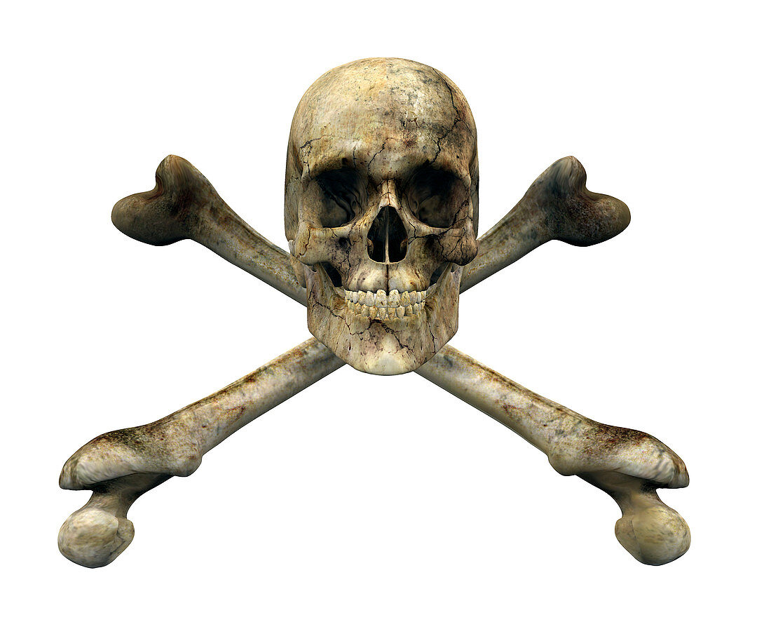 Skull and cross bones