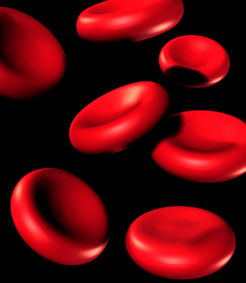 Red blood cells