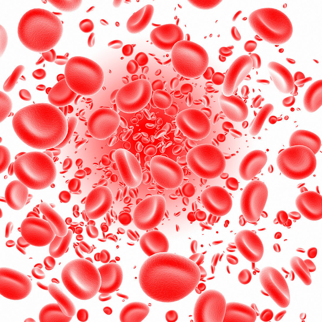 Red blood cells