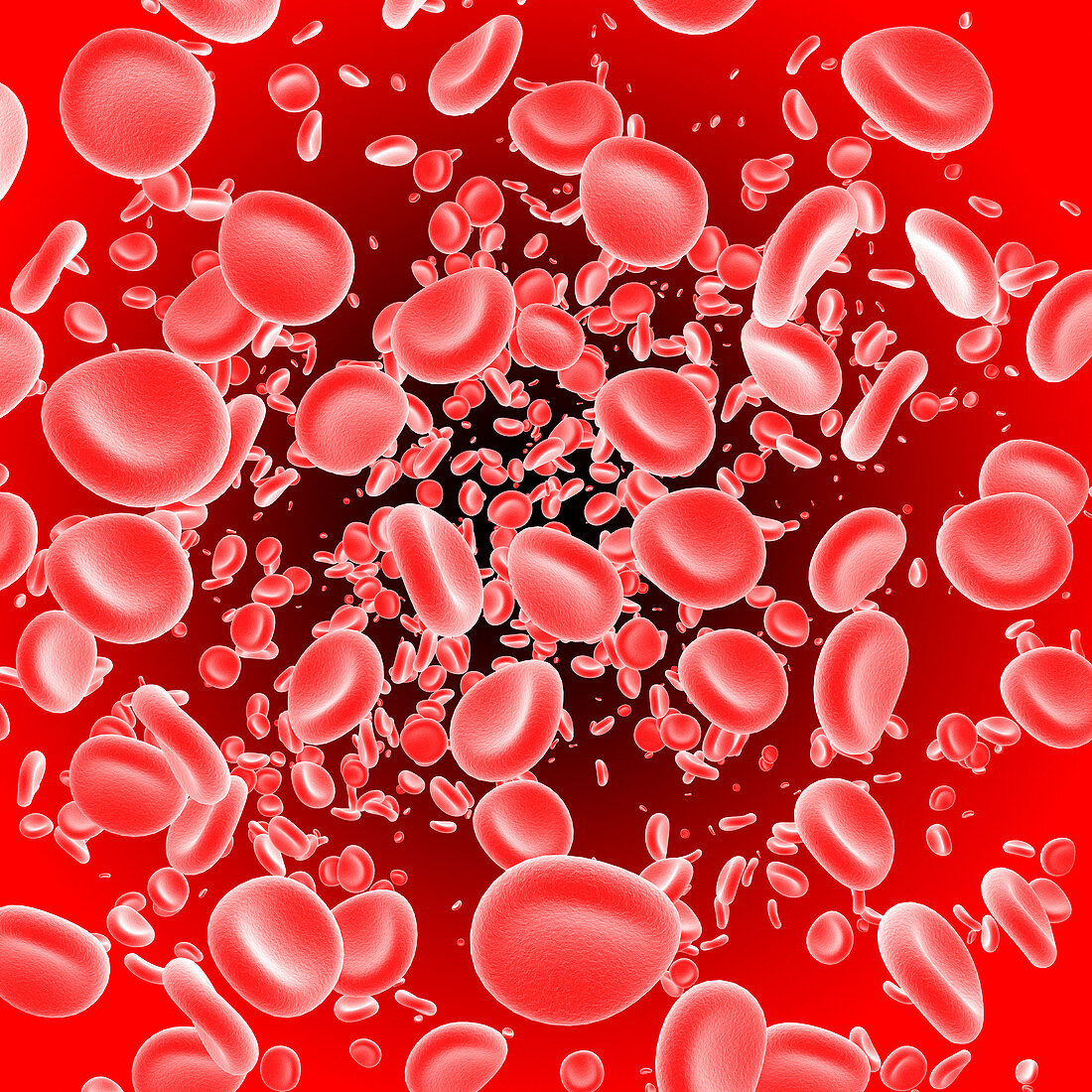 Red blood cells