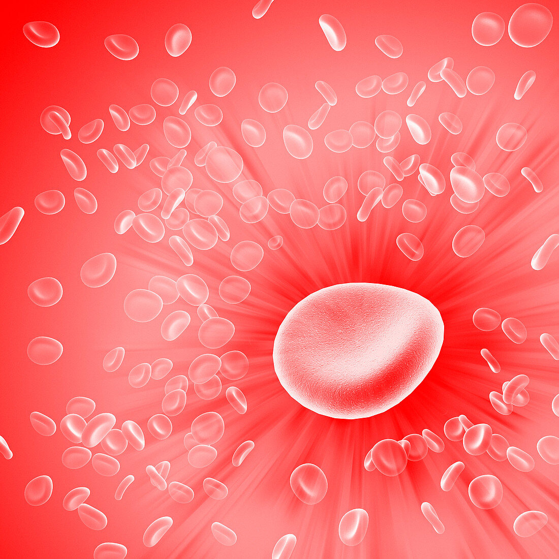 Red blood cells