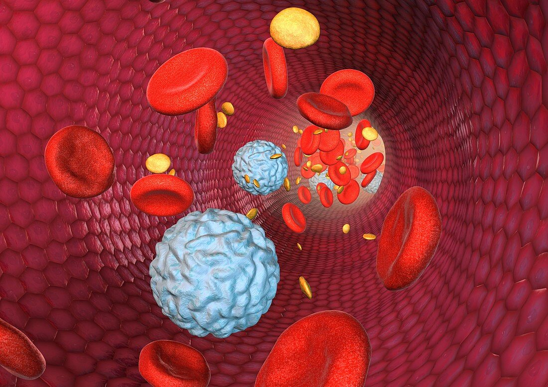 Blood cells,computer artwork