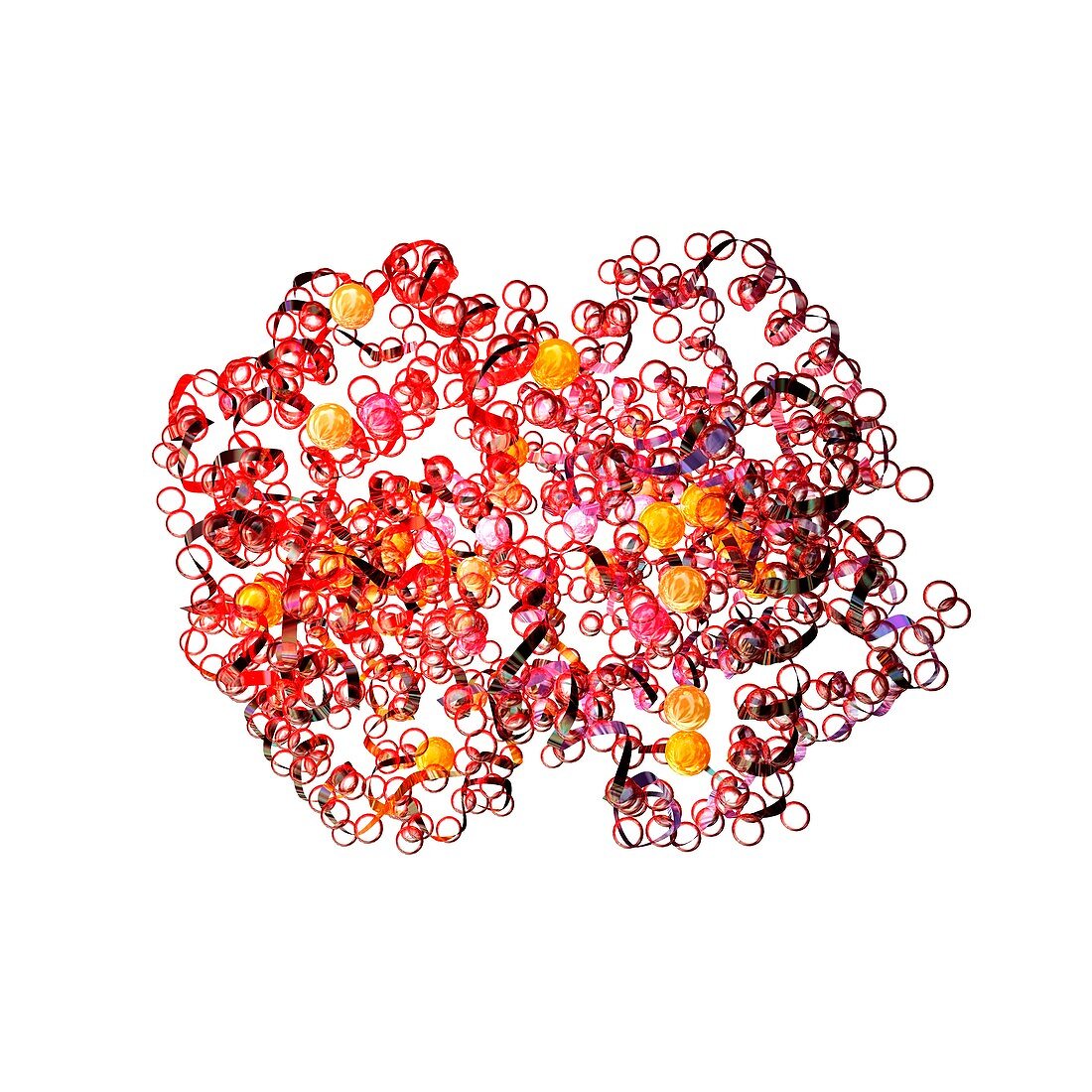 Haemoglobin molecule