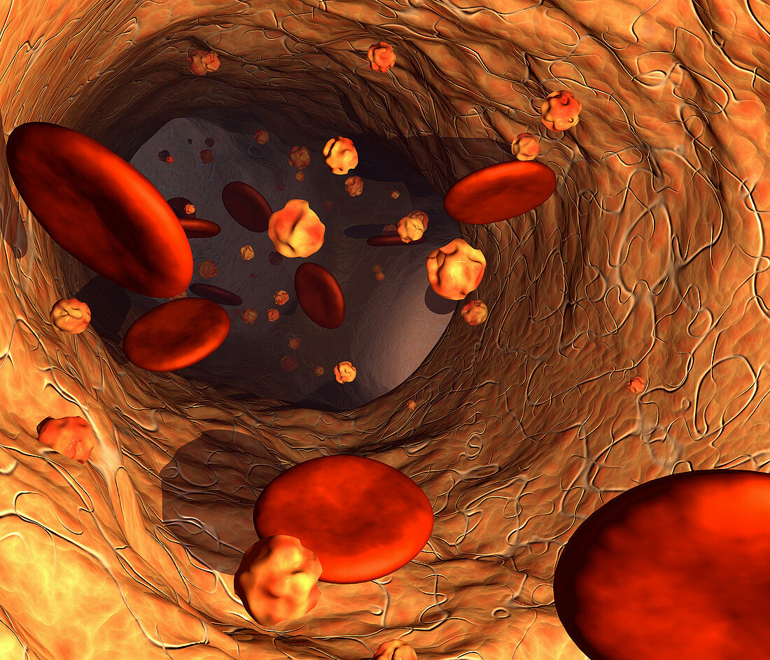 Red blood cells