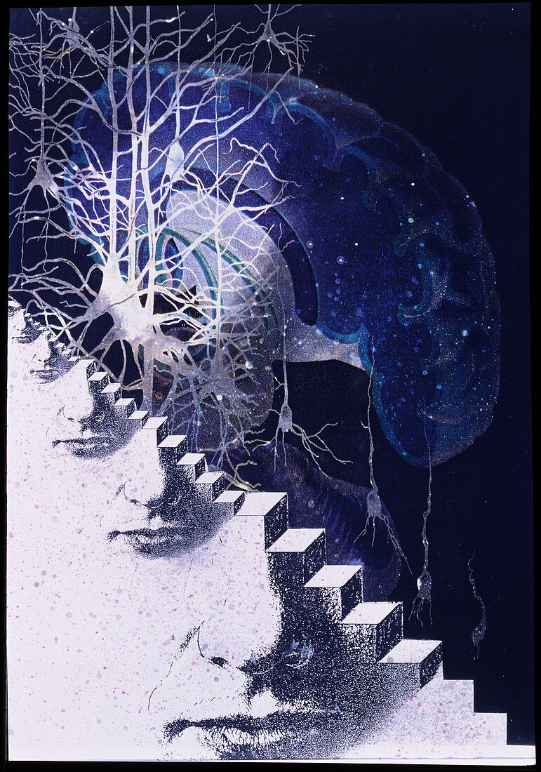 Conceptual art of brain & nerve cells in