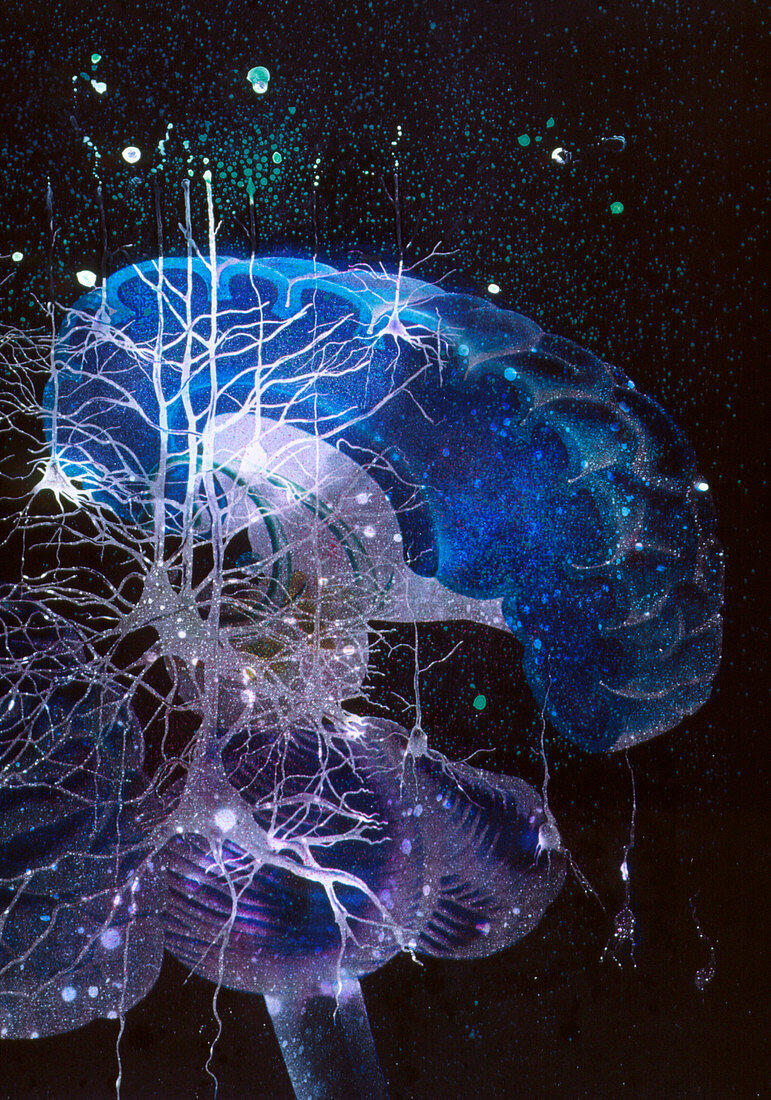 Conceptual art of brain & nerve cells in dementia