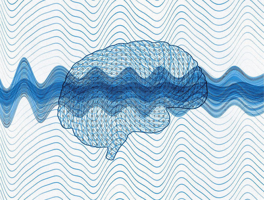 Brain,conceptual computer artwork