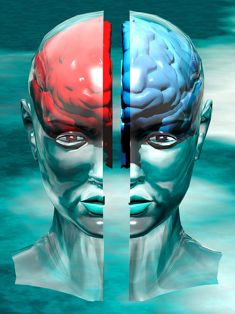 Split brain,conceptual artwork