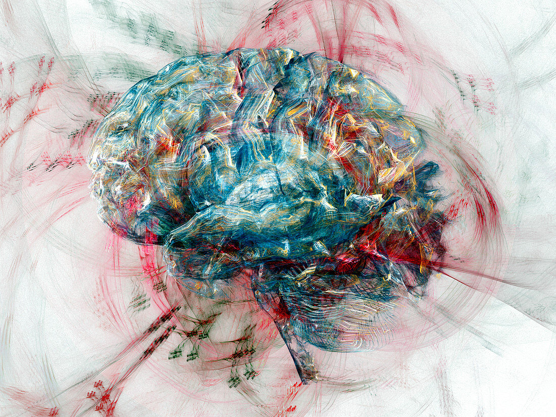 Brain,abstract image