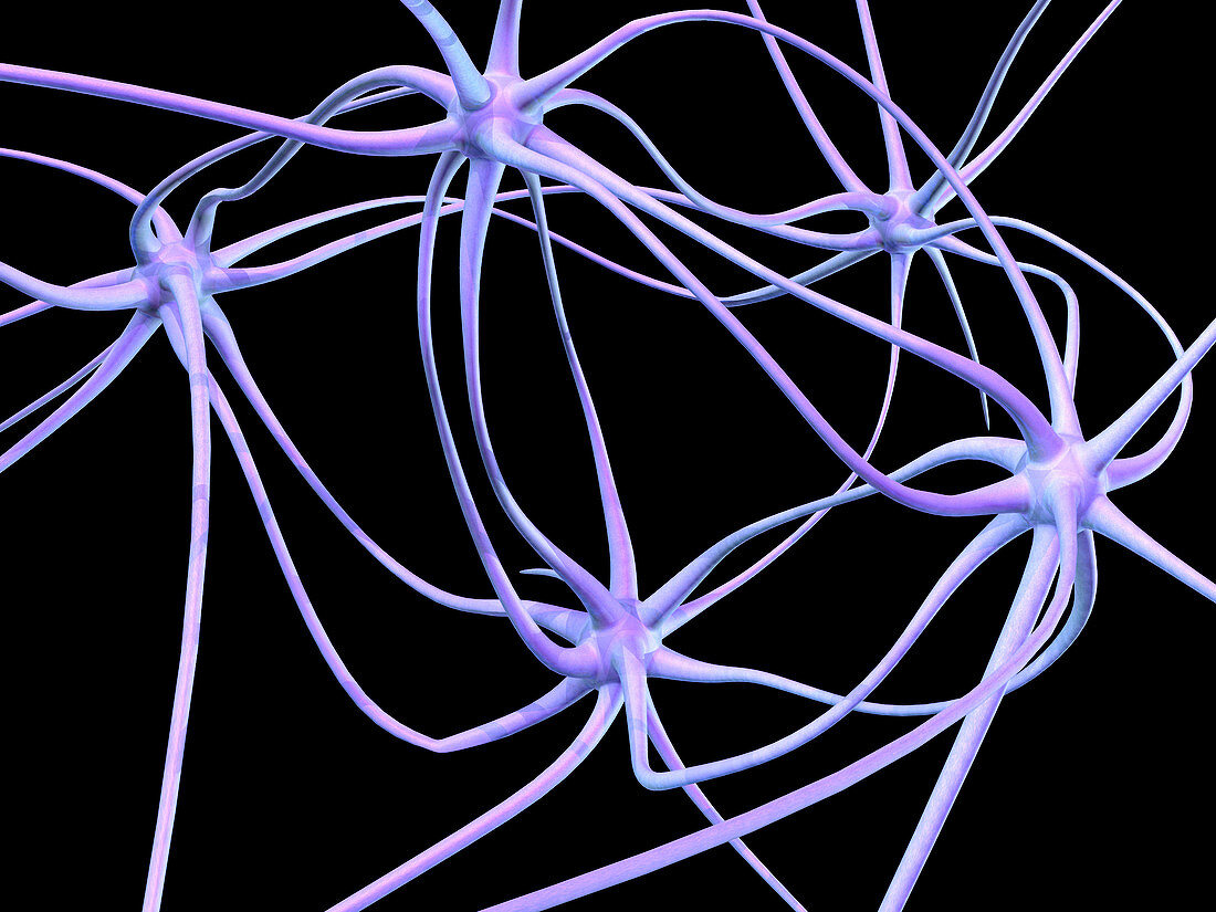 Nerve cells,computer artwork