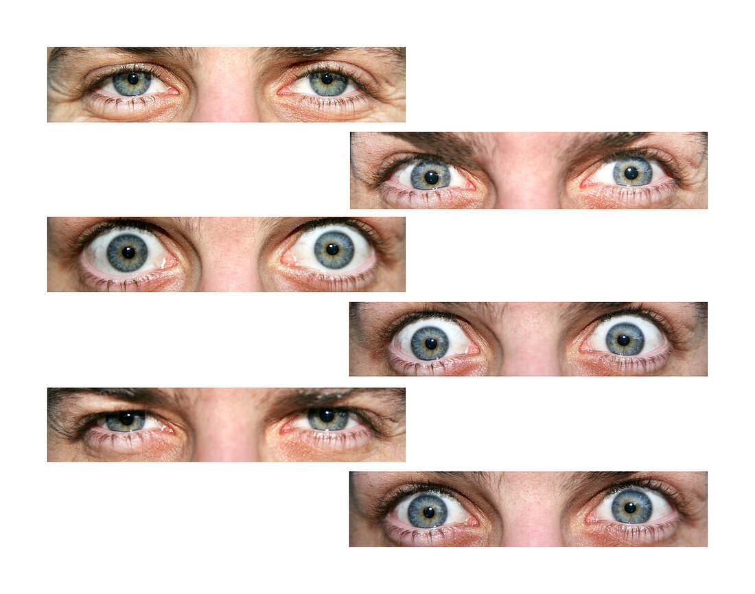 Eye expressions