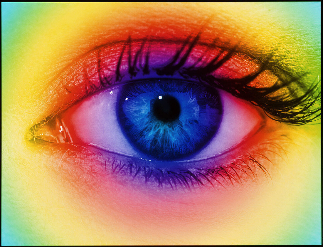 Colour vision: spectrum of light and human eye