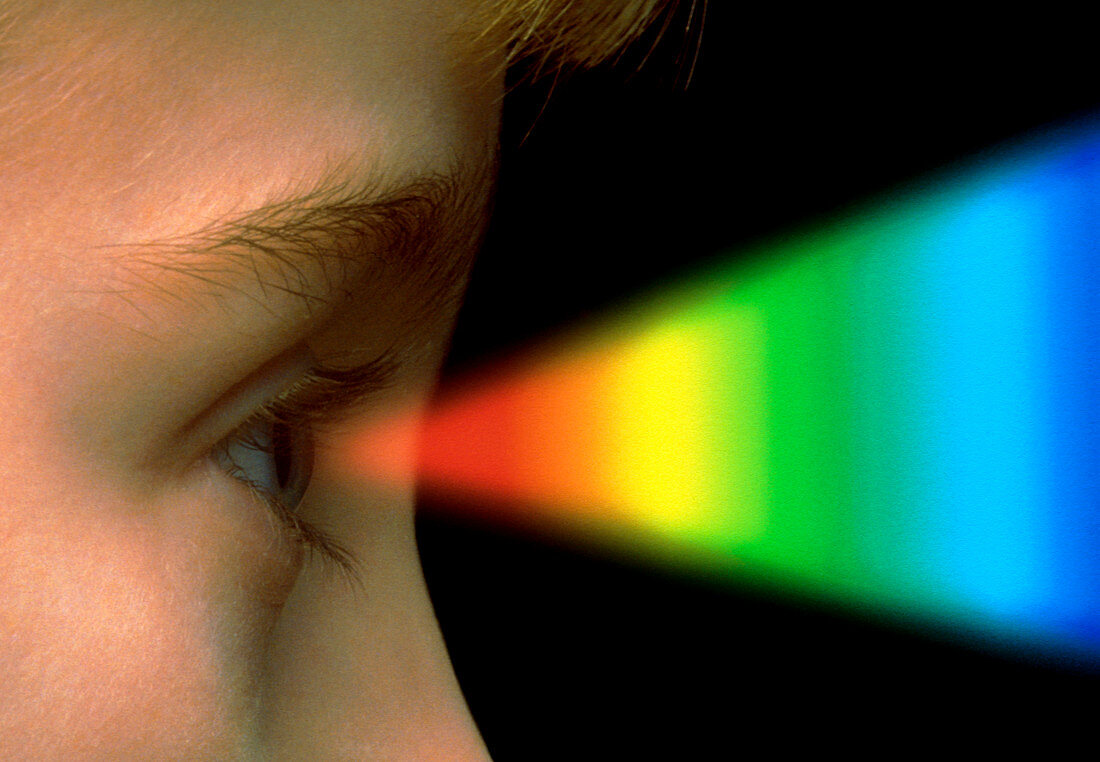 Colour vision: spectrum of light entering the eye