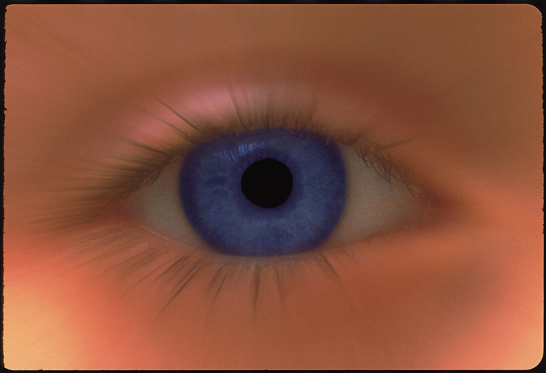 Zoom effect image of a young girl's blue eye