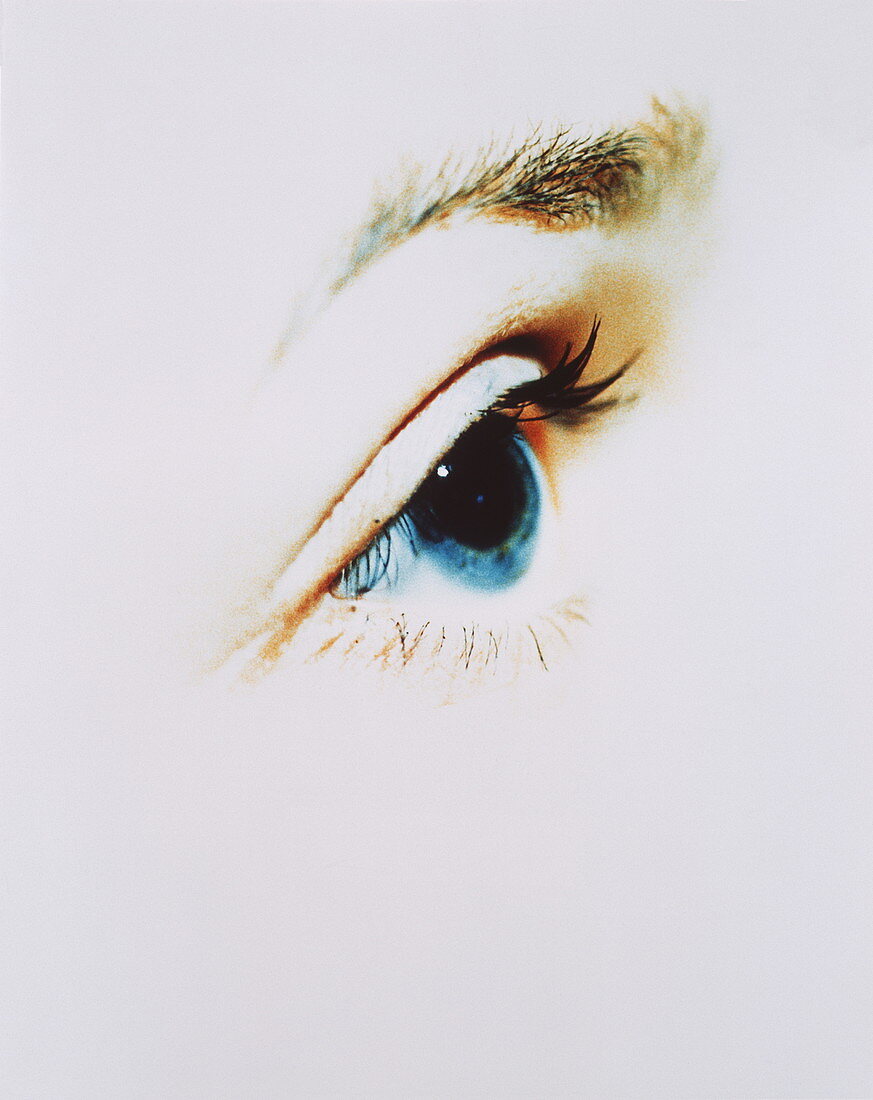 Woman's eye