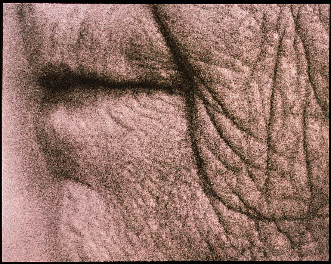 Close-up of mouth of an elderly woman (side view)