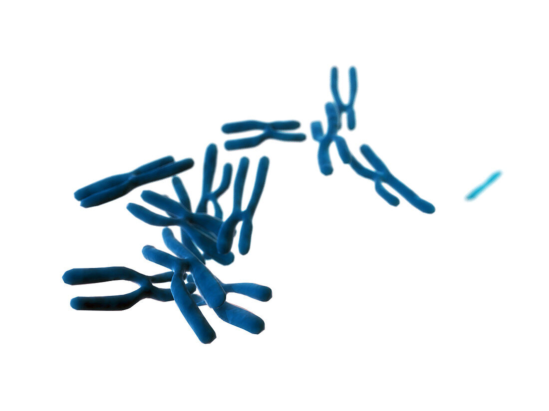 Chromosomes,computer artwork