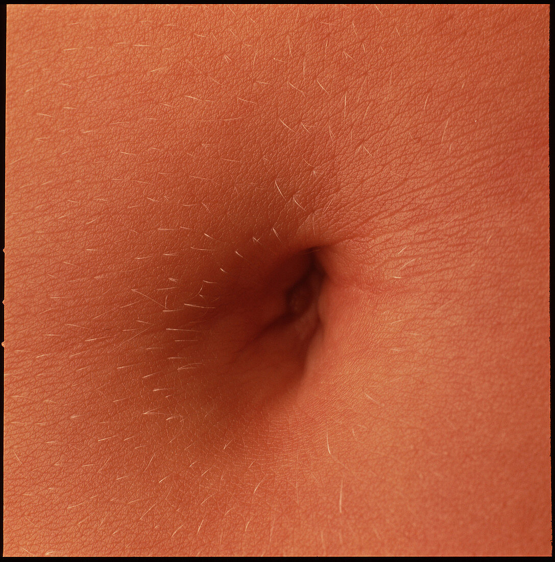 Navel of a woman