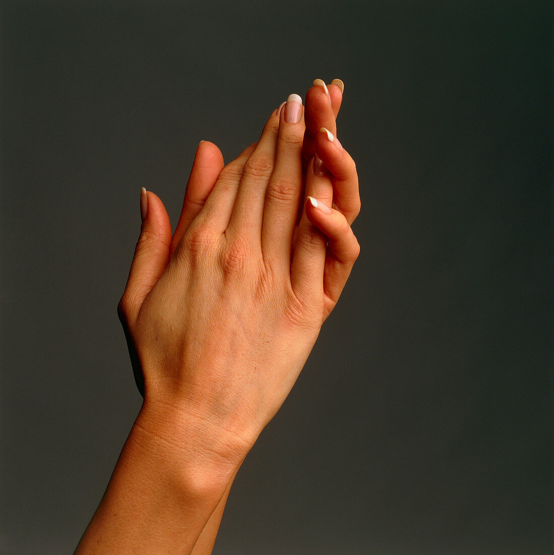 Side view of a woman's hands held together