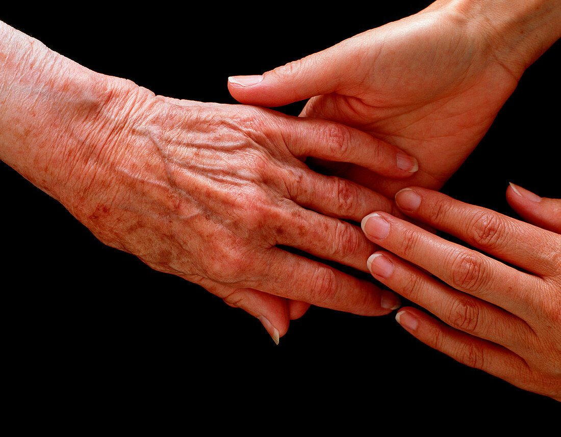 View of young hands holding an elderly hand