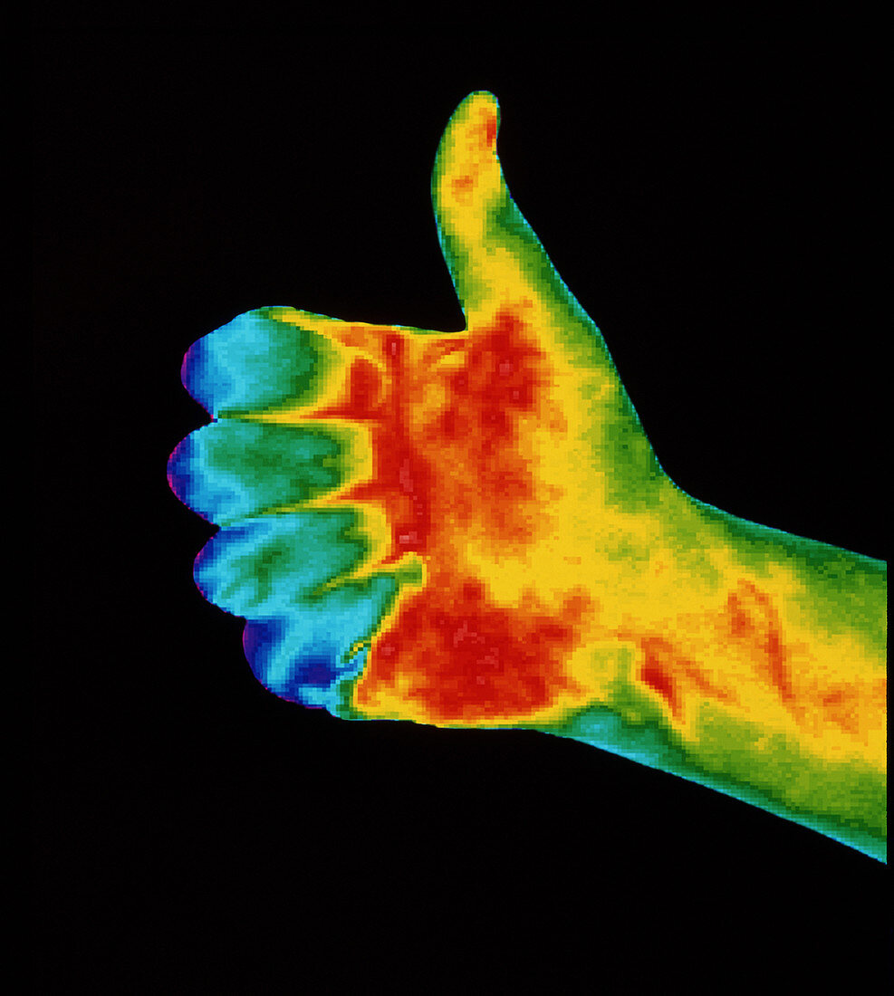 Thermogram of the thumbs up sign
