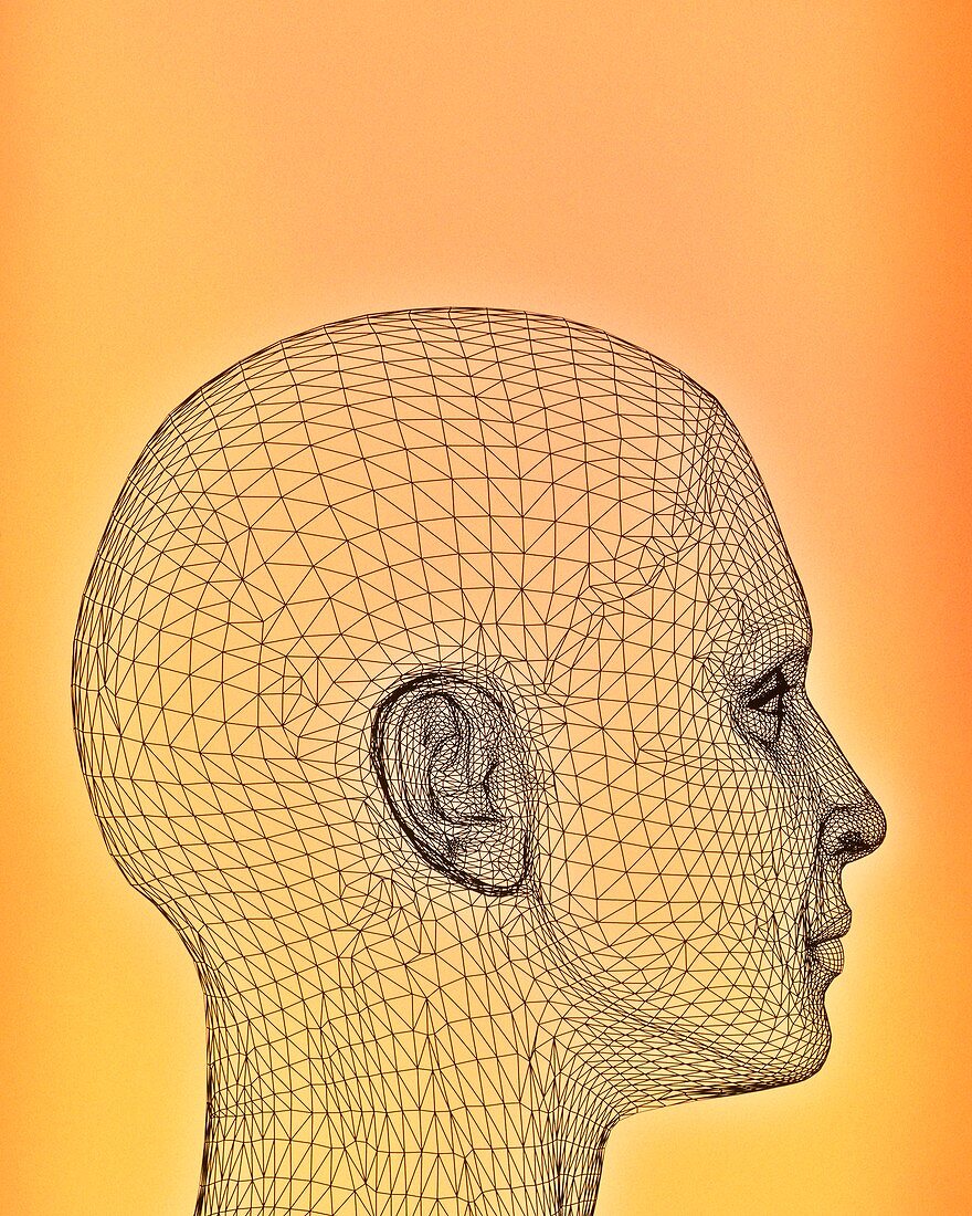 Woman's head,computer artwork
