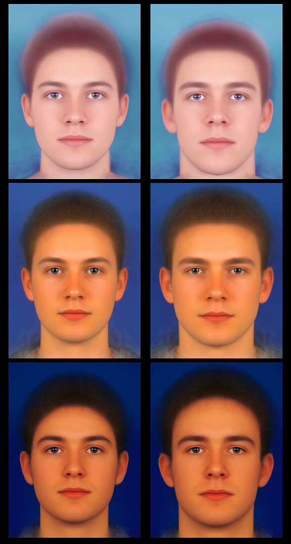 Masculinised and feminised male Caucasian faces
